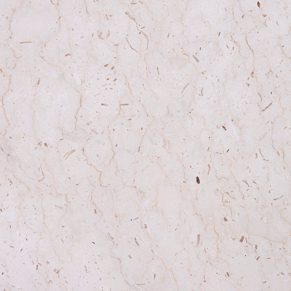 Perlato Cecilia Marble Tile | 60 × 60 cm Elegant Perlato Cecilia Marble Tile | 60 × 60 cm | Polished | Thickness 2 cm - Image 1