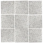 Grey Sardo Granite Paving Stone | 10 × 10 × 5 cm | Flamed Finish