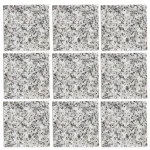 Grey Sardo Granite Cobble Stone | 10 × 10 × 5 cm | Natural Split Finish